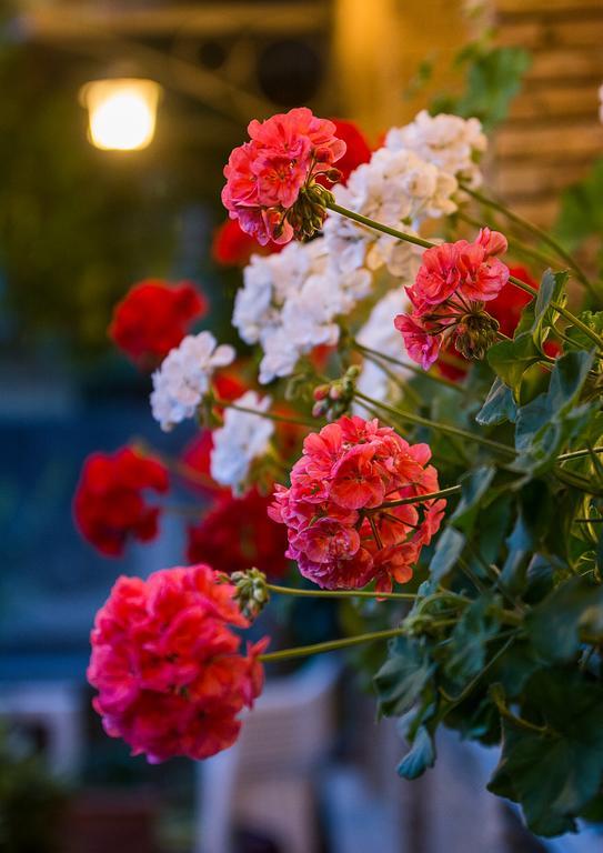 Ronta Hotel La Rosa מראה חיצוני תמונה